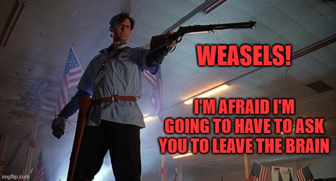 Brain weasel eviction | WEASELS! I'M AFRAID I'M GOING TO HAVE TO ASK YOU TO LEAVE THE BRAIN | image tagged in leave the store,ash williams,army of darkness,memes | made w/ Imgflip meme maker