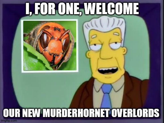 I for one welcome our new overlords | I, FOR ONE, WELCOME; OUR NEW MURDERHORNET OVERLORDS | image tagged in i for one welcome our new overlords | made w/ Imgflip meme maker