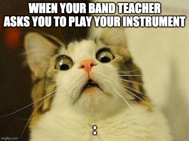 Scared Cat | WHEN YOUR BAND TEACHER ASKS YOU TO PLAY YOUR INSTRUMENT; : | image tagged in memes,scared cat | made w/ Imgflip meme maker