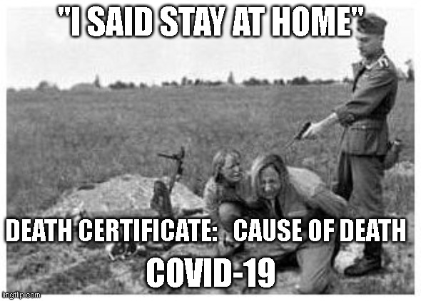 Stay at home | "I SAID STAY AT HOME"; DEATH CERTIFICATE:   CAUSE OF DEATH; COVID-19 | image tagged in nazi killing peasants | made w/ Imgflip meme maker
