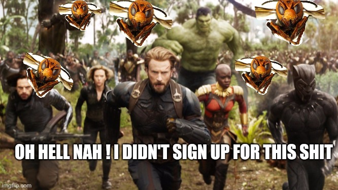 time to abandon the planet guys... | OH HELL NAH ! I DIDN'T SIGN UP FOR THIS SHIT | image tagged in avengers infinity war running,memes,murder hornets,oh hell no | made w/ Imgflip meme maker