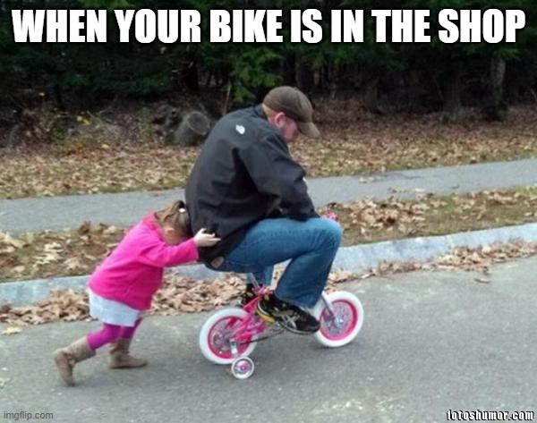 Bicycle Girl and Dad | WHEN YOUR BIKE IS IN THE SHOP | image tagged in bicycle girl and dad | made w/ Imgflip meme maker