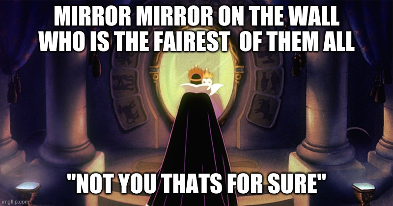 Mirror | MIRROR MIRROR ON THE WALL WHO IS THE FAIREST  OF THEM ALL; "NOT YOU THATS FOR SURE" | image tagged in fyp,memes,beauty,true | made w/ Imgflip meme maker
