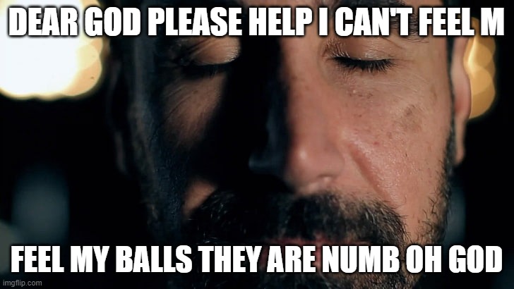 serj tankian cant feel his balls | DEAR GOD PLEASE HELP I CAN'T FEEL M; FEEL MY BALLS THEY ARE NUMB OH GOD | image tagged in balls,system | made w/ Imgflip meme maker