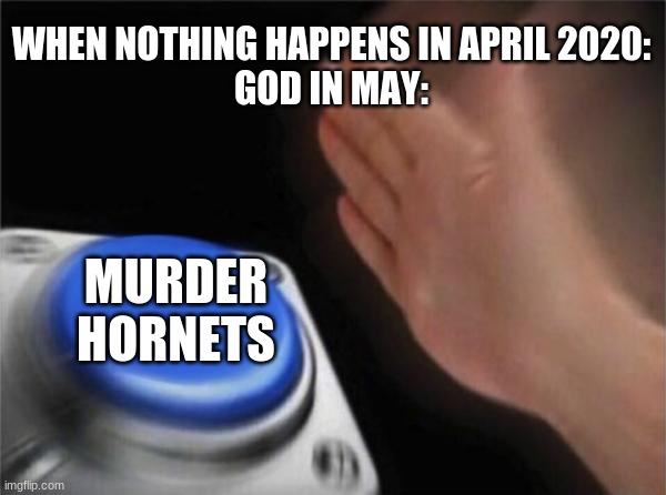 Blank Nut Button | WHEN NOTHING HAPPENS IN APRIL 2020:
GOD IN MAY:; MURDER HORNETS | image tagged in memes,blank nut button | made w/ Imgflip meme maker