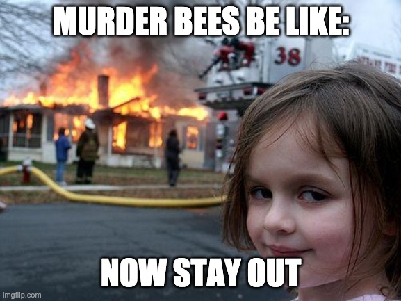 Disaster Girl | MURDER BEES BE LIKE:; NOW STAY OUT | image tagged in memes,disaster girl | made w/ Imgflip meme maker