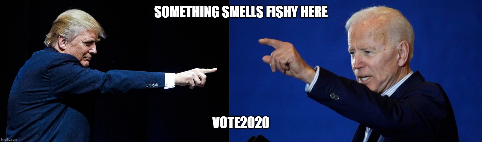 vote2020 | SOMETHING SMELLS FISHY HERE; VOTE2020 | image tagged in joe biden,donald trump | made w/ Imgflip meme maker