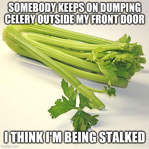 Creepy veggies |  SOMEBODY KEEPS ON DUMPING CELERY OUTSIDE MY FRONT DOOR; I THINK I'M BEING STALKED | image tagged in stalking,reddit,dad joke | made w/ Imgflip meme maker
