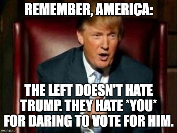 The Meltdown of the Left | REMEMBER, AMERICA:; THE LEFT DOESN'T HATE TRUMP. THEY HATE *YOU* FOR DARING TO VOTE FOR HIM. | image tagged in donald trump | made w/ Imgflip meme maker