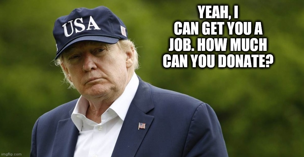 What can you do for me | YEAH, I CAN GET YOU A JOB. HOW MUCH CAN YOU DONATE? | image tagged in donald trump,usps,donations,jobs | made w/ Imgflip meme maker