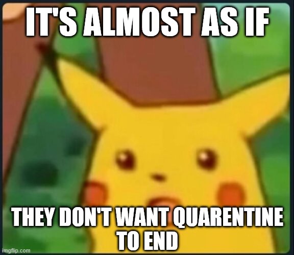 Surprised Pikachu | IT'S ALMOST AS IF THEY DON'T WANT QUARENTINE
TO END | image tagged in surprised pikachu | made w/ Imgflip meme maker