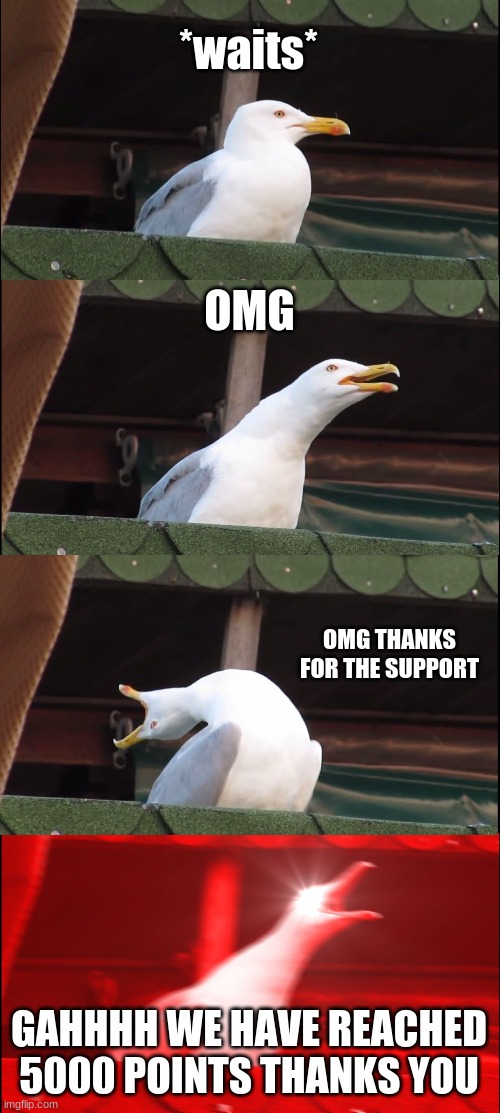 Inhaling Seagull Meme | *waits* OMG OMG THANKS FOR THE SUPPORT GAHHHH WE HAVE REACHED 5000 POINTS THANKS YOU | image tagged in memes,inhaling seagull | made w/ Imgflip meme maker