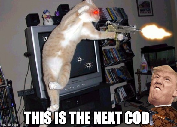 CALL OF DUTY KITTY STYLE | THIS IS THE NEXT COD | image tagged in call of duty kitty style | made w/ Imgflip meme maker