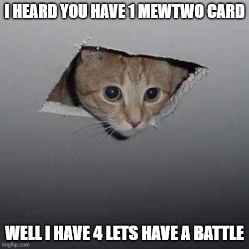 pokemon mew two | I HEARD YOU HAVE 1 MEWTWO CARD; WELL I HAVE 4 LETS HAVE A BATTLE | image tagged in memes,ceiling cat | made w/ Imgflip meme maker