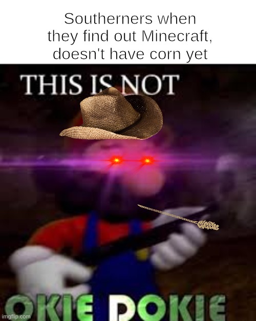 YeeHaw Partner | Southerners when they find out Minecraft, doesn't have corn yet | image tagged in this is not okie dokie | made w/ Imgflip meme maker