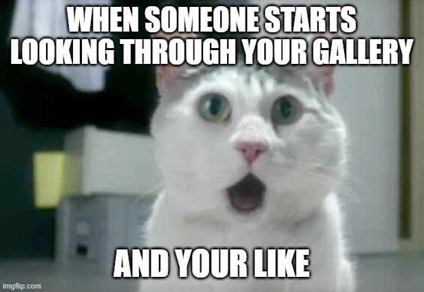 OMG Cat Meme | WHEN SOMEONE STARTS LOOKING THROUGH YOUR GALLERY; AND YOUR LIKE | image tagged in memes,omg cat | made w/ Imgflip meme maker