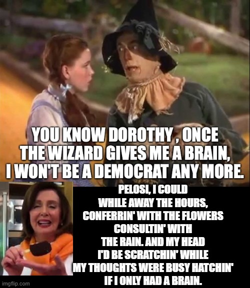 Pelosi, If I Only Had a Brain! | PELOSI, I COULD WHILE AWAY THE HOURS, CONFERRIN' WITH THE FLOWERS
CONSULTIN' WITH THE RAIN. AND MY HEAD I'D BE SCRATCHIN' WHILE MY THOUGHTS WERE BUSY HATCHIN'
IF I ONLY HAD A BRAIN. | image tagged in stupid liberals,democrats,pelosi | made w/ Imgflip meme maker