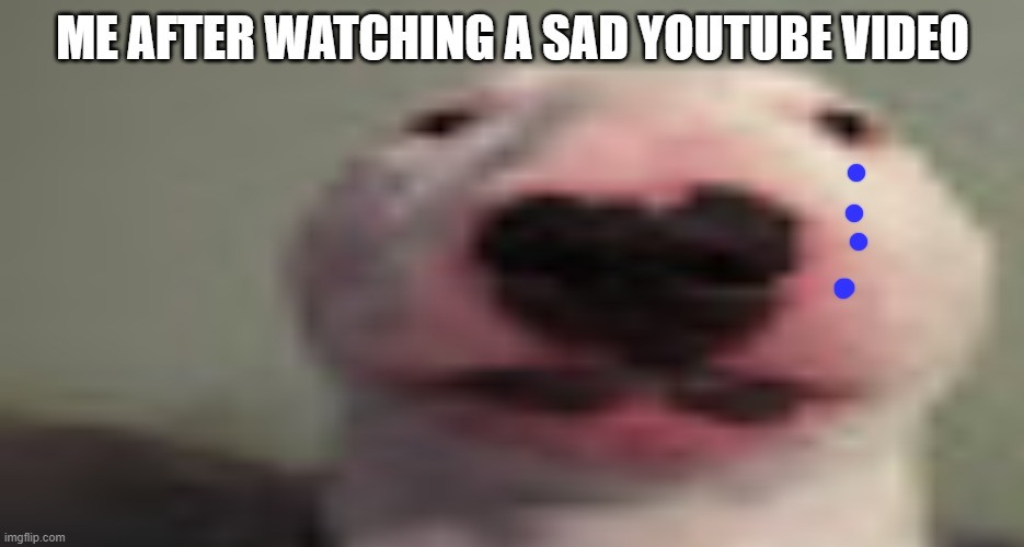 dogo | ME AFTER WATCHING A SAD YOUTUBE VIDEO | image tagged in dog | made w/ Imgflip meme maker