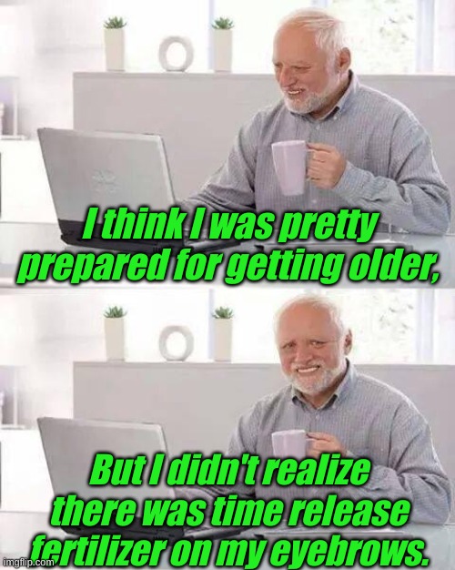 I was just noticing, you French braid your eyebrows. | I think I was pretty prepared for getting older, But I didn't realize there was time release fertilizer on my eyebrows. | image tagged in memes,hide the pain harold | made w/ Imgflip meme maker