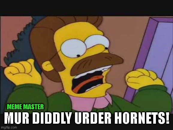Flandesr mur diddly urder hornets | MUR DIDDLY URDER HORNETS! MEME MASTER | image tagged in simpsons | made w/ Imgflip meme maker