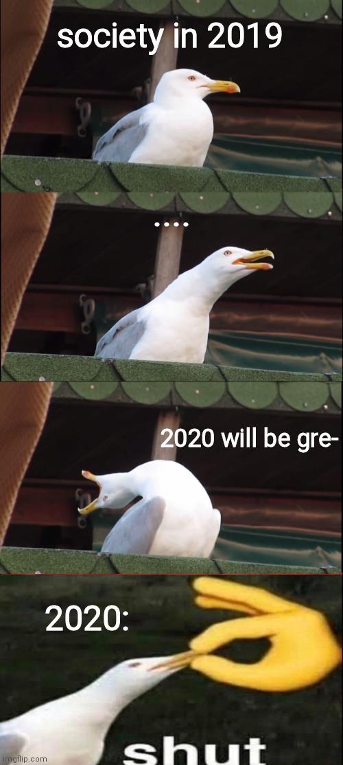 literally life rn | society in 2019; .... 2020 will be gre-; 2020: | image tagged in oh wow are you actually reading these tags,stop reading the tags | made w/ Imgflip meme maker