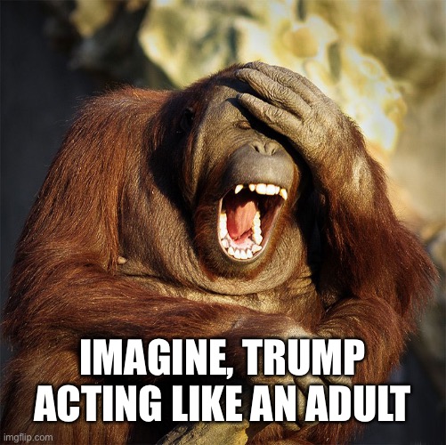 IMAGINE, TRUMP ACTING LIKE AN ADULT | made w/ Imgflip meme maker