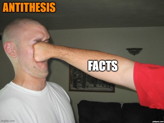 Face punch | ANTITHESIS FACTS | image tagged in face punch | made w/ Imgflip meme maker