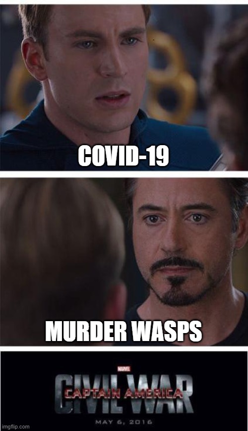 Marvel Civil War 1 | COVID-19; MURDER WASPS | image tagged in memes,marvel civil war 1 | made w/ Imgflip meme maker