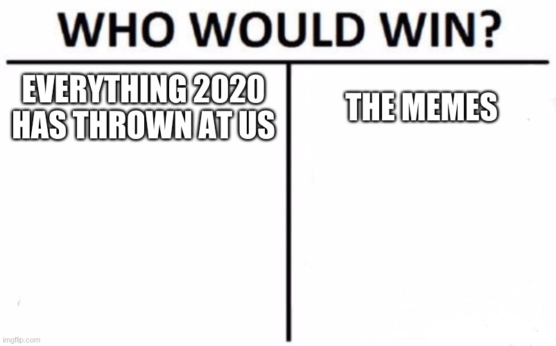 Who Would Win? Meme | EVERYTHING 2020 HAS THROWN AT US; THE MEMES | image tagged in memes,who would win | made w/ Imgflip meme maker