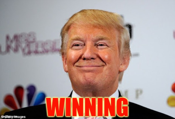 Donald trump approves | WINNING | image tagged in donald trump approves | made w/ Imgflip meme maker