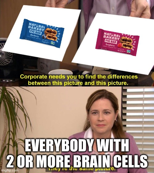 all fig bars are the same | EVERYBODY WITH 2 OR MORE BRAIN CELLS | image tagged in they're the same picture,woman,fruit,food | made w/ Imgflip meme maker