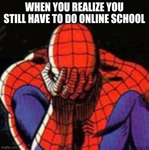 Sad Spiderman Meme | WHEN YOU REALIZE YOU STILL HAVE TO DO ONLINE SCHOOL | image tagged in memes,sad spiderman,spiderman | made w/ Imgflip meme maker