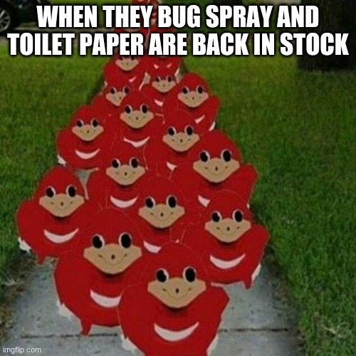 Ugandan knuckles army | WHEN THEY BUG SPRAY AND TOILET PAPER ARE BACK IN STOCK | image tagged in ugandan knuckles army | made w/ Imgflip meme maker