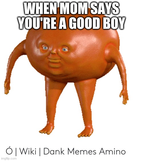 Mr. my orange man | WHEN MOM SAYS YOU'RE A GOOD BOY | image tagged in mr my orange man | made w/ Imgflip meme maker