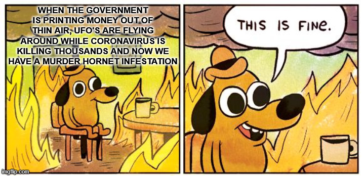 This Is Fine | WHEN THE GOVERNMENT IS PRINTING MONEY OUT OF THIN AIR, UFO'S ARE FLYING AROUND WHILE CORONAVIRUS IS KILLING THOUSANDS AND NOW WE HAVE A MURDER HORNET INFESTATION | image tagged in memes,this is fine,murder hornet,ufo,coronavirus | made w/ Imgflip meme maker