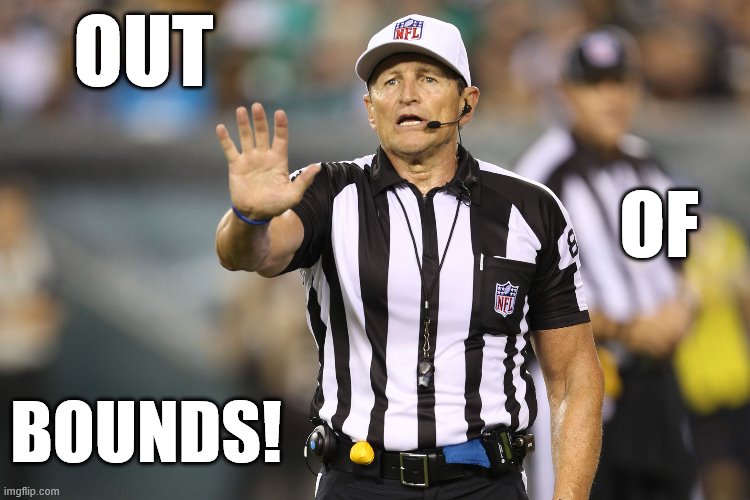 When they come to whine at you at the ShareYourOwnPhotos stream, of all places | OUT; OF; BOUNDS! | image tagged in ed hochuli fallacy referee,whiners,whine,imgflip trolls,the daily struggle imgflip edition,first world imgflip problems | made w/ Imgflip meme maker