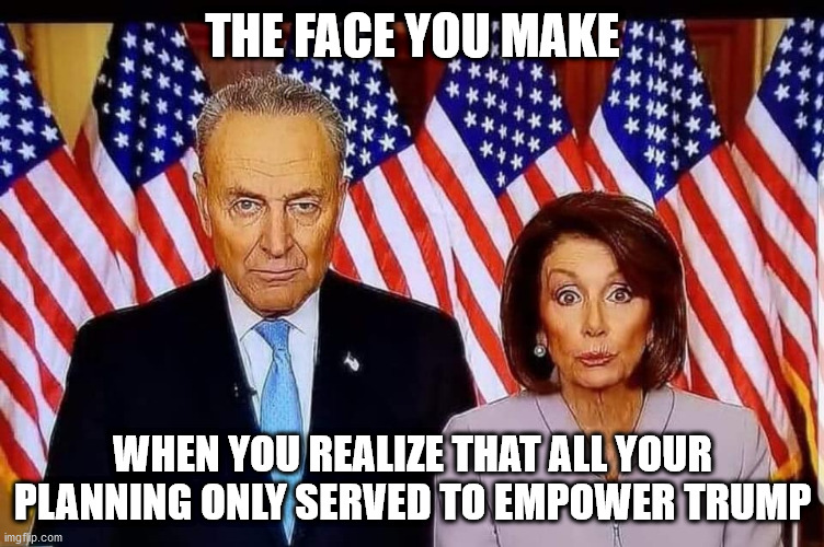 democrats 2020 | THE FACE YOU MAKE; WHEN YOU REALIZE THAT ALL YOUR PLANNING ONLY SERVED TO EMPOWER TRUMP | image tagged in chuck and nancy | made w/ Imgflip meme maker
