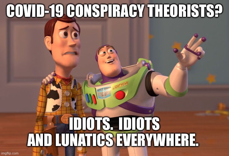 COVID-19 conspiracy theorists are morons | COVID-19 CONSPIRACY THEORISTS? IDIOTS.  IDIOTS AND LUNATICS EVERYWHERE. | image tagged in memes,x x everywhere,covid-19,idiots | made w/ Imgflip meme maker