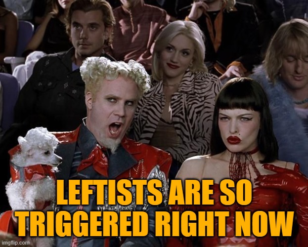 So Hot Right Now | LEFTISTS ARE SO TRIGGERED RIGHT NOW | image tagged in so hot right now | made w/ Imgflip meme maker