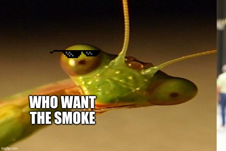 WHO WANT THE SMOKE | image tagged in mantin | made w/ Imgflip meme maker