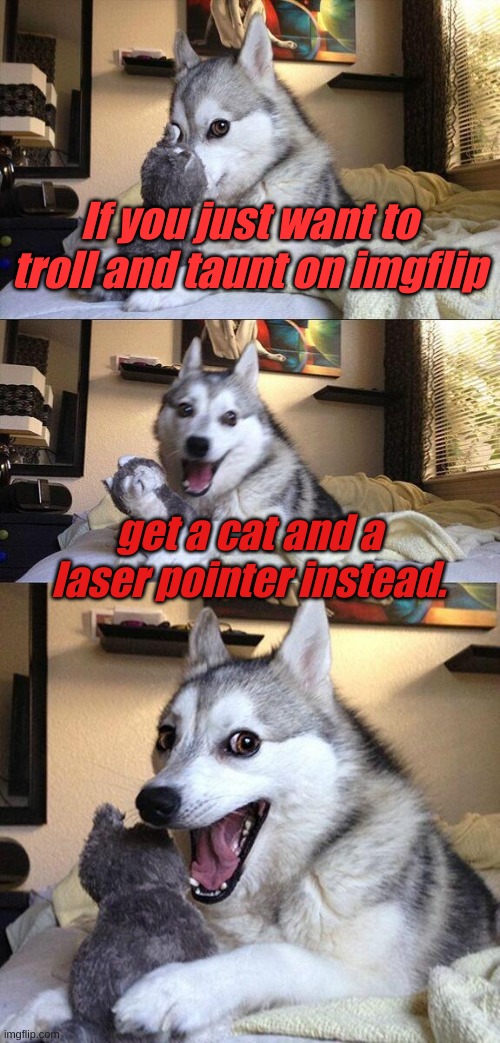 Bad Pun Dog Meme | If you just want to troll and taunt on imgflip; get a cat and a laser pointer instead. | image tagged in memes,bad pun dog | made w/ Imgflip meme maker