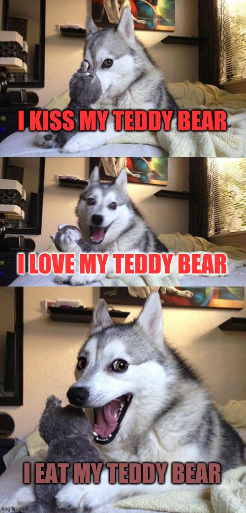 kissing teddy bear dog
