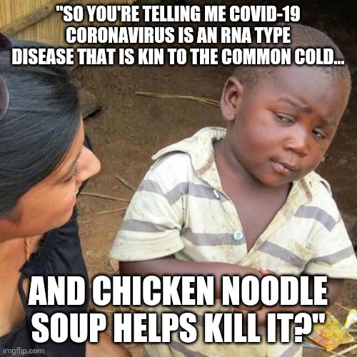 Third World Skeptical Kid | "SO YOU'RE TELLING ME COVID-19 CORONAVIRUS IS AN RNA TYPE DISEASE THAT IS KIN TO THE COMMON COLD... AND CHICKEN NOODLE SOUP HELPS KILL IT?" | image tagged in memes,third world skeptical kid | made w/ Imgflip meme maker