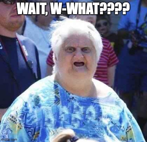 wut | WAIT, W-WHAT???? | image tagged in wut | made w/ Imgflip meme maker
