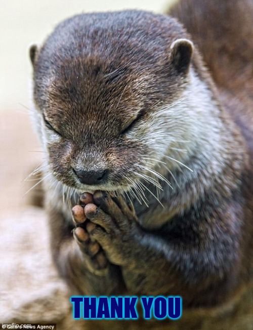 Thank you Lord Otter | THANK YOU | image tagged in thank you lord otter | made w/ Imgflip meme maker