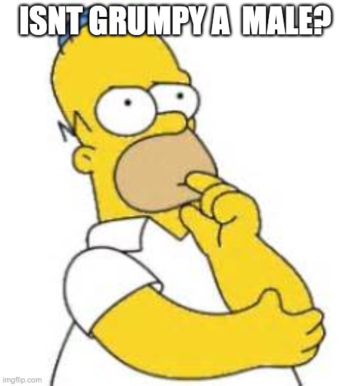 Homer Simpson Hmmmm | ISNT GRUMPY A  MALE? | image tagged in homer simpson hmmmm | made w/ Imgflip meme maker