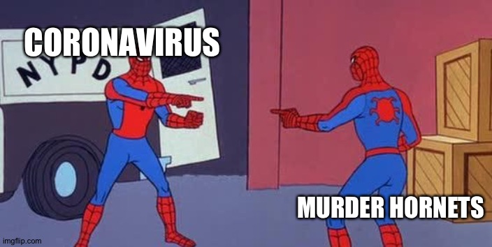 Spider Man Double | CORONAVIRUS; MURDER HORNETS | image tagged in spider man double | made w/ Imgflip meme maker