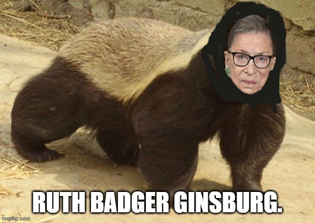 She's a Honey Badger She dont give a s***! | image tagged in ruth bader ginsburg | made w/ Imgflip meme maker