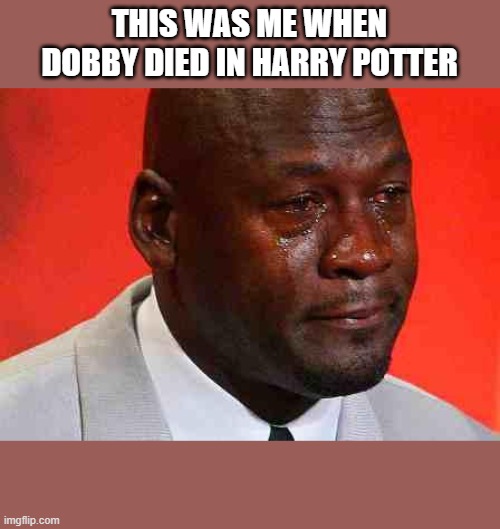 crying michael jordan | THIS WAS ME WHEN DOBBY DIED IN HARRY POTTER | image tagged in crying michael jordan | made w/ Imgflip meme maker