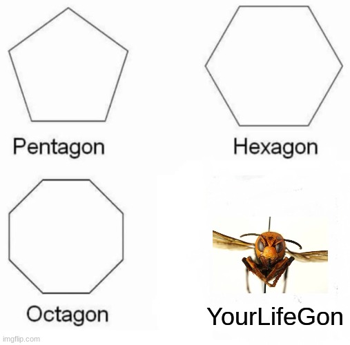 remember to stock up on bugspray and NOT toilet paper | YourLifeGon | image tagged in memes,pentagon hexagon octagon,murder hornet,2020 | made w/ Imgflip meme maker